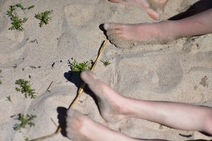 Sommaren kan bli bäst!