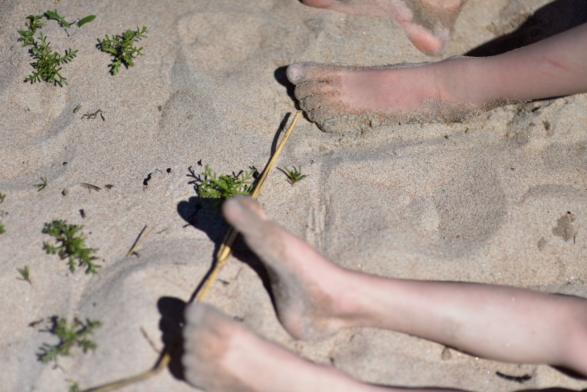 Sommaren kan bli bäst! - Bonki